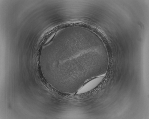 X0000113160920200909041252