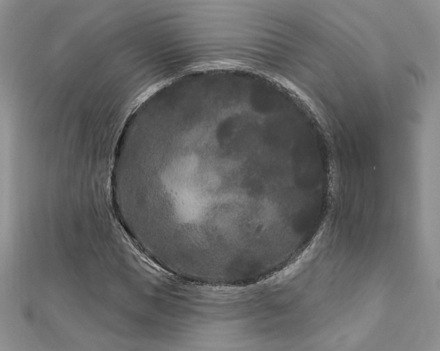 X0000113160921200909041252