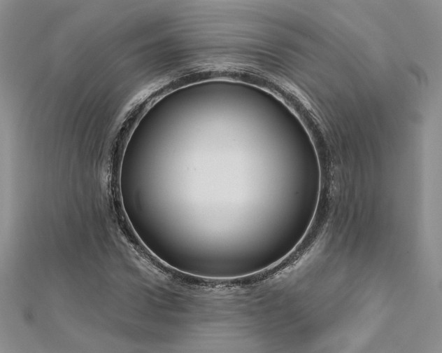 X0000113160922200909041252
