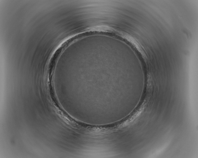 X0000113160923200909041252