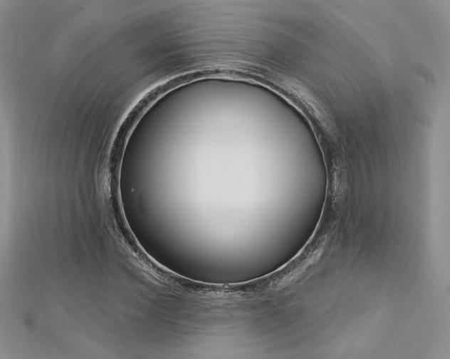 X0000113160924200909041252