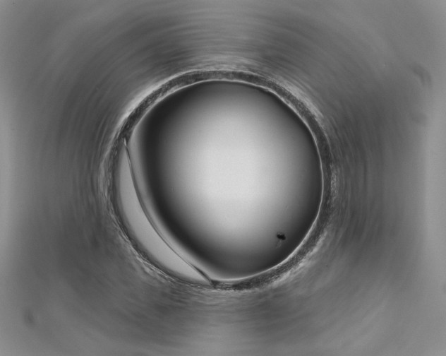 X0000113160925200909041252