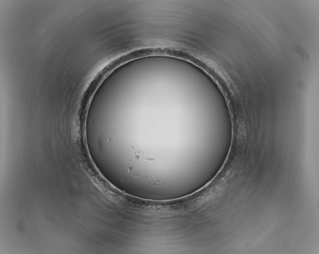 X0000113160927200909041252