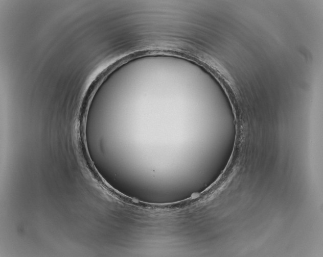 X0000113160928200909041252