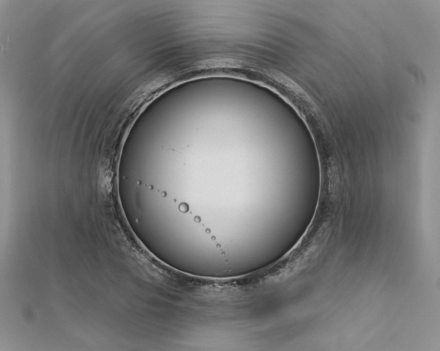 X0000113160929200909041252