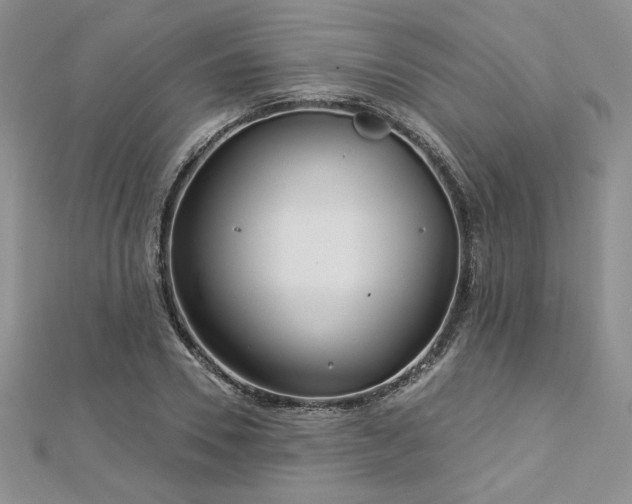 X0000113160930200909041252