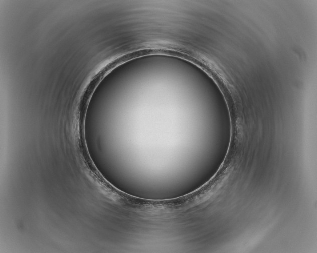 X0000113160931200909041252