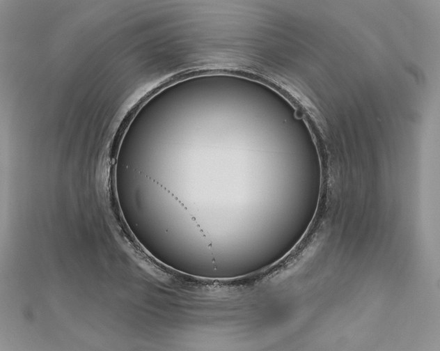 X0000113160933200909041252