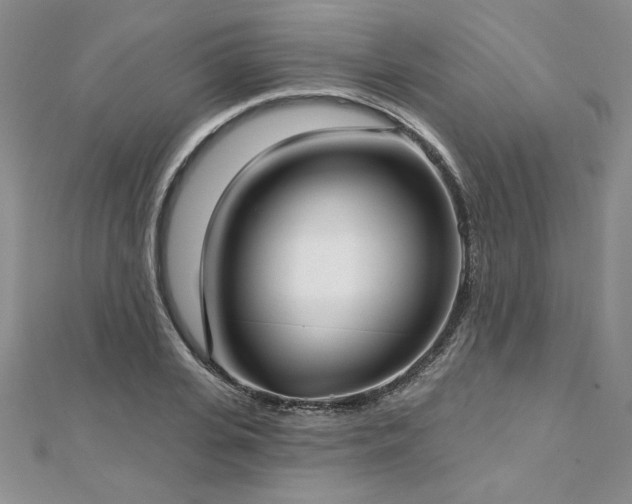 X0000113160935200909041252