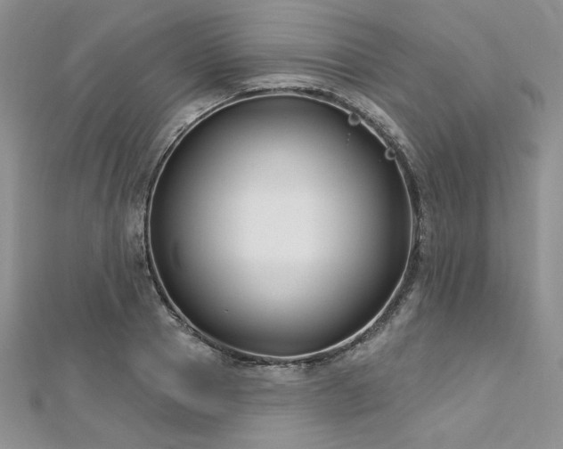 X0000113160937200909041252