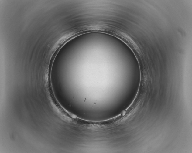 X0000113160938200909041252