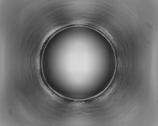 X0000113160939200909041252