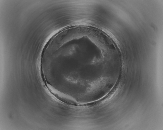 X0000113160941200909041252