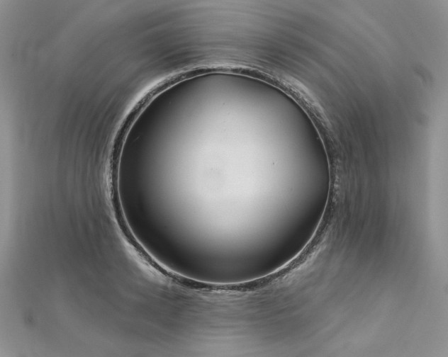X0000113160942200909041252