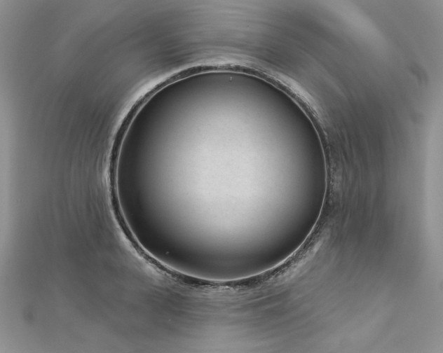 X0000113160943200909041252
