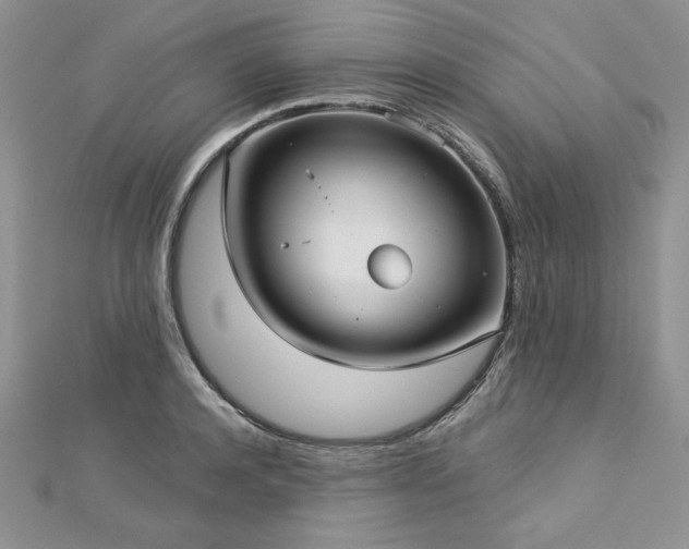 X0000113160944200909041252