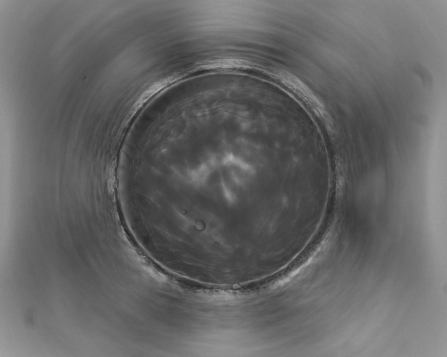 X0000113160945200909041252