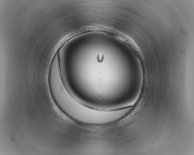 X0000113160946200909041252