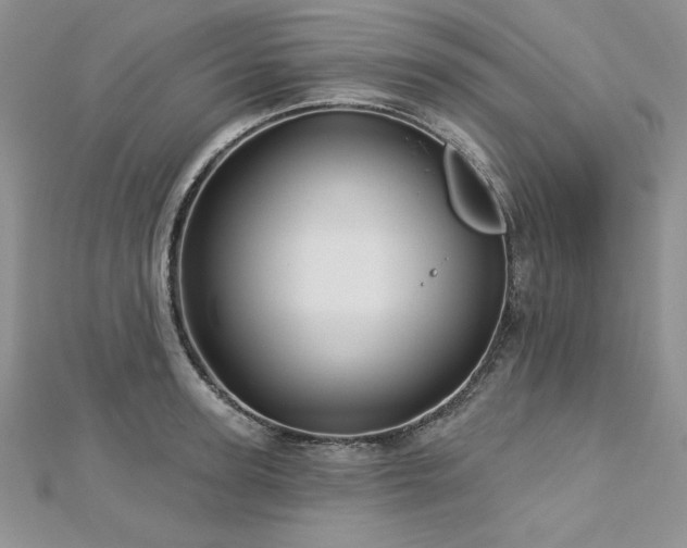 X0000113160947200909041252