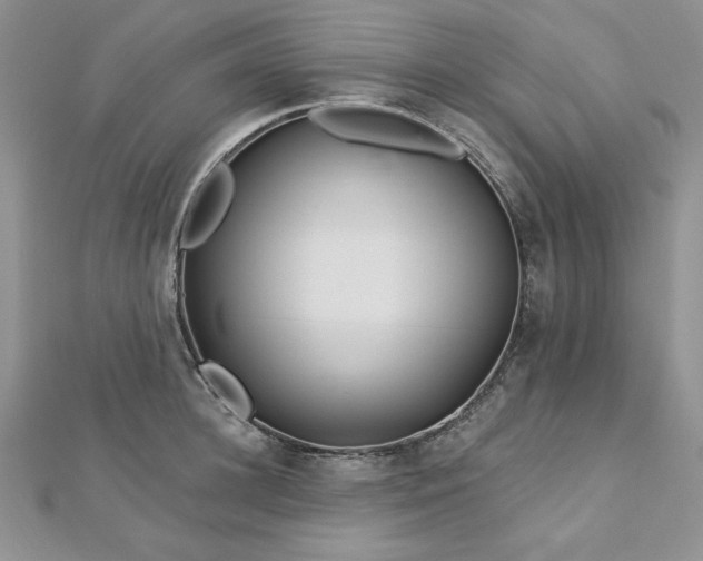 X0000113160948200909041252
