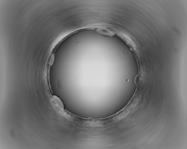 X0000113160952200909041252