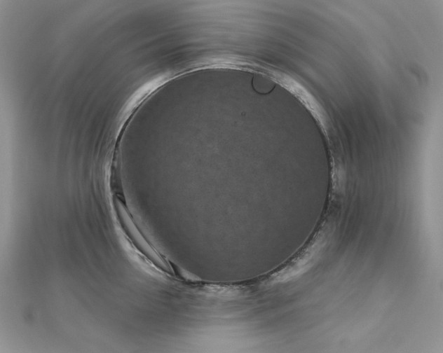 X0000113160954200909041252