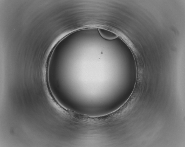 X0000113160955200909041252