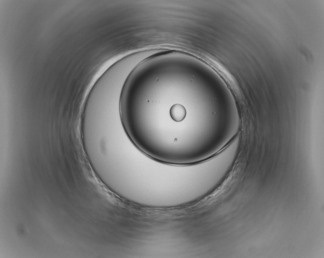 X0000113160956200909041252