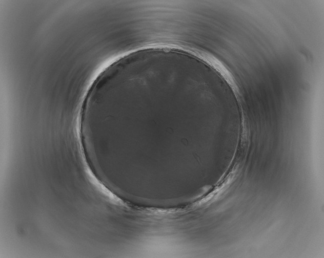 X0000113160958200909041252