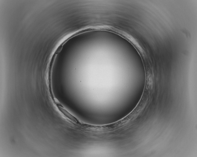 X0000113160959200909041252