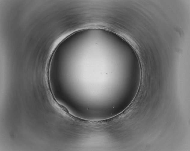 X0000113160960200909041252