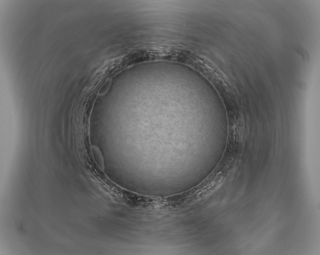 X0000113160961200909041252