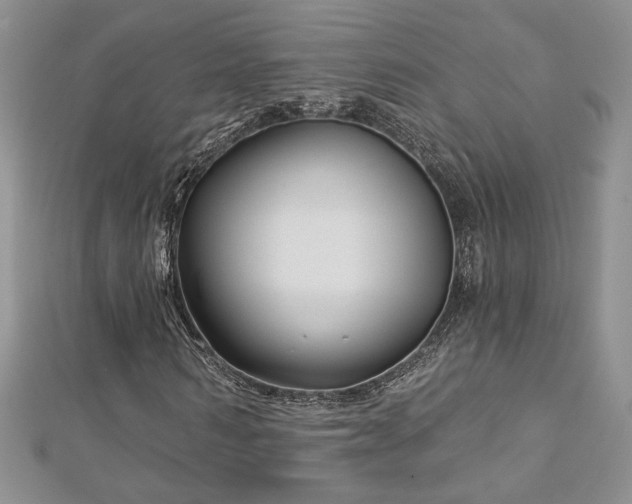 X0000113160962200909041252
