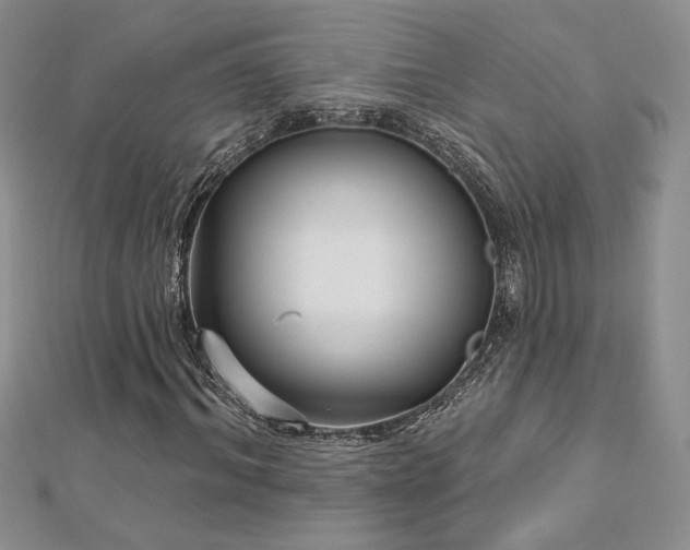 X0000113160964200909041252