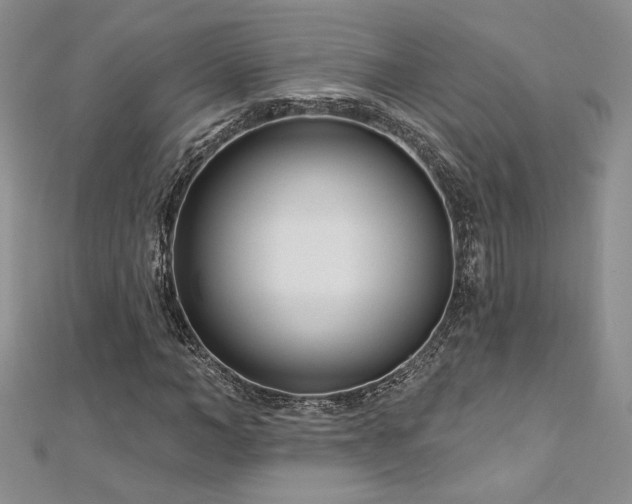 X0000113160966200909041252
