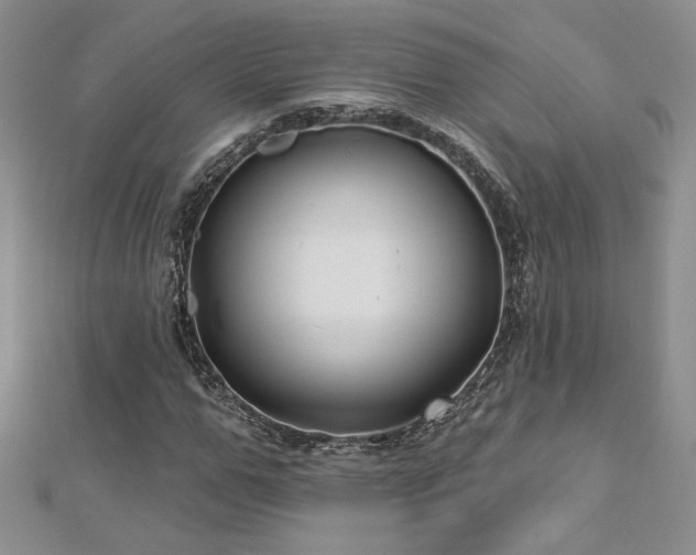 X0000113160967200909041252