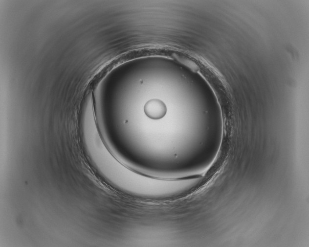 X0000113160969200909041252
