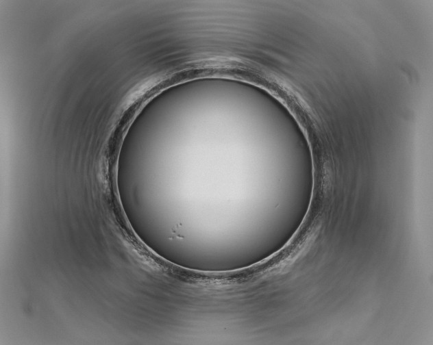 X0000113160970200909041252
