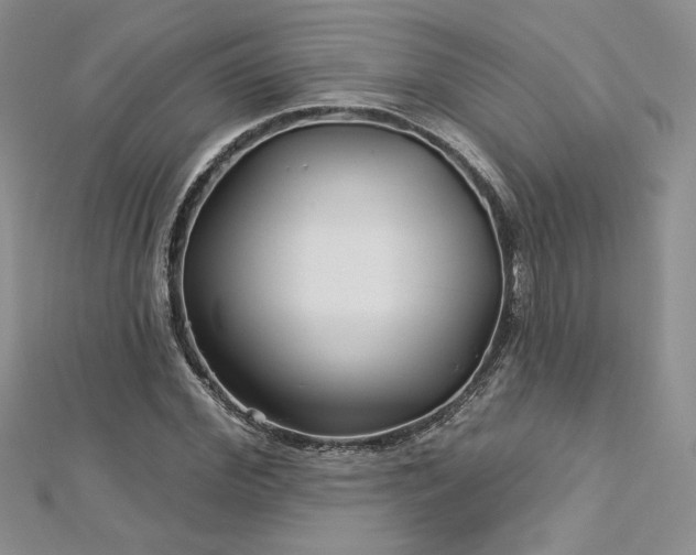 X0000113160972200909041252