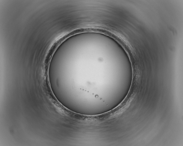 X0000113160974200909041251