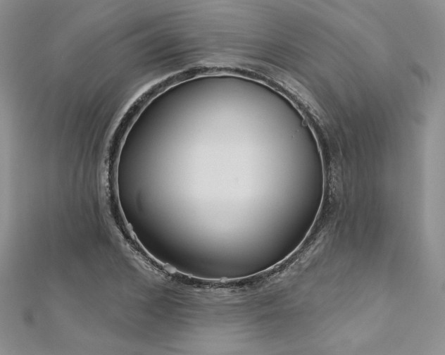 X0000113160976200909041251