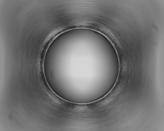 X0000113160978200909041251