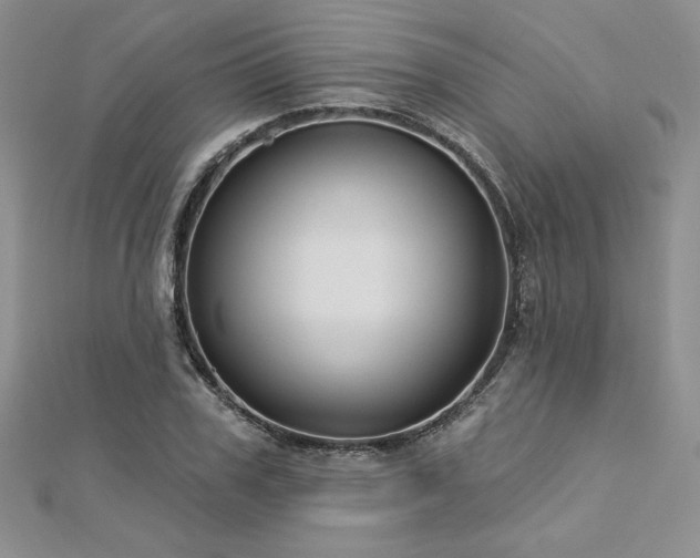 X0000113160979200909041251