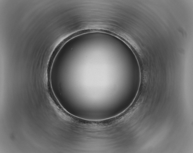 X0000113160980200909041251