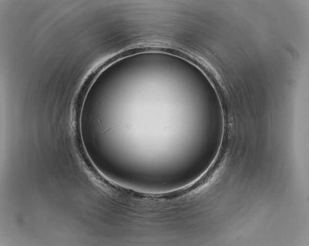 X0000113160981200909041251