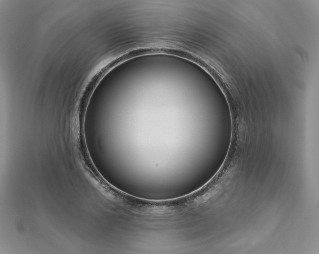X0000113160982200909041251