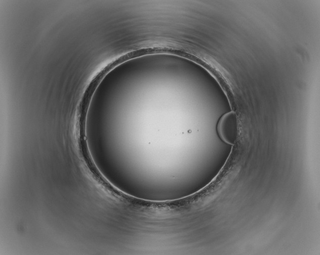 X0000113160983200909041251