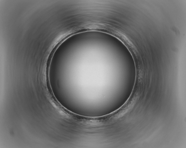 X0000113160986200909041251