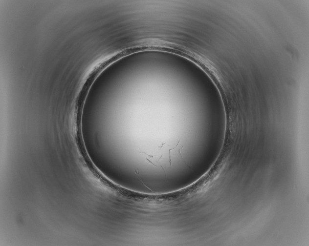 X0000113160987200909041251