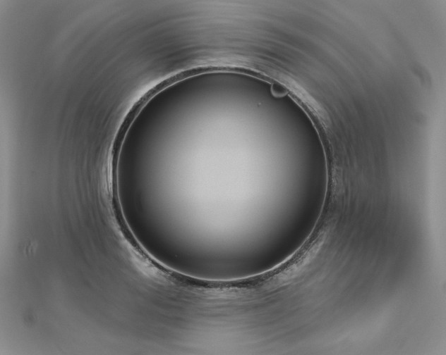 X0000113160988200909041251